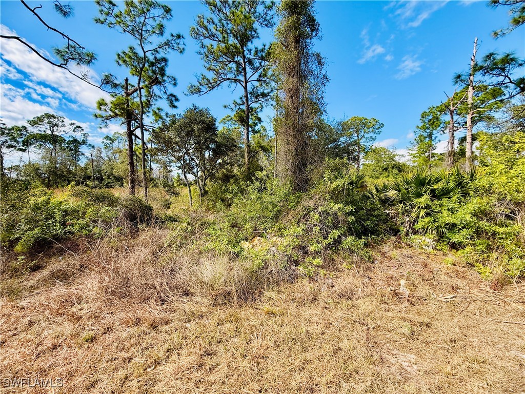 2007 Truman Avenue Alva FL 33920 226004557 image2