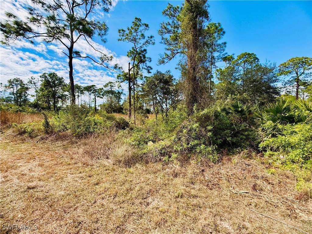 2007 Truman Avenue Alva FL 33920 226004557 image4