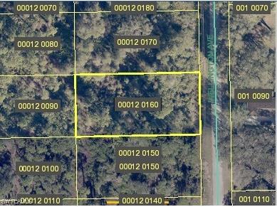 2007 Wellington Avenue Alva FL 33920 223062996 image1