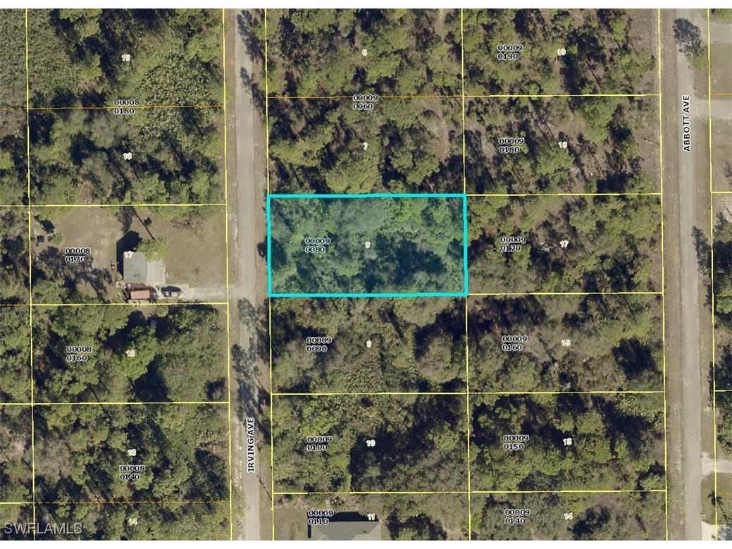 2008 Irving Avenue Alva FL 33920 223018476 image1