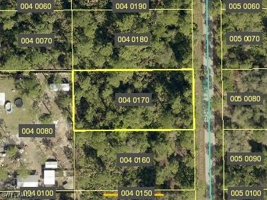 2009 Scott Avenue Alva FL 33920 224074427 image1