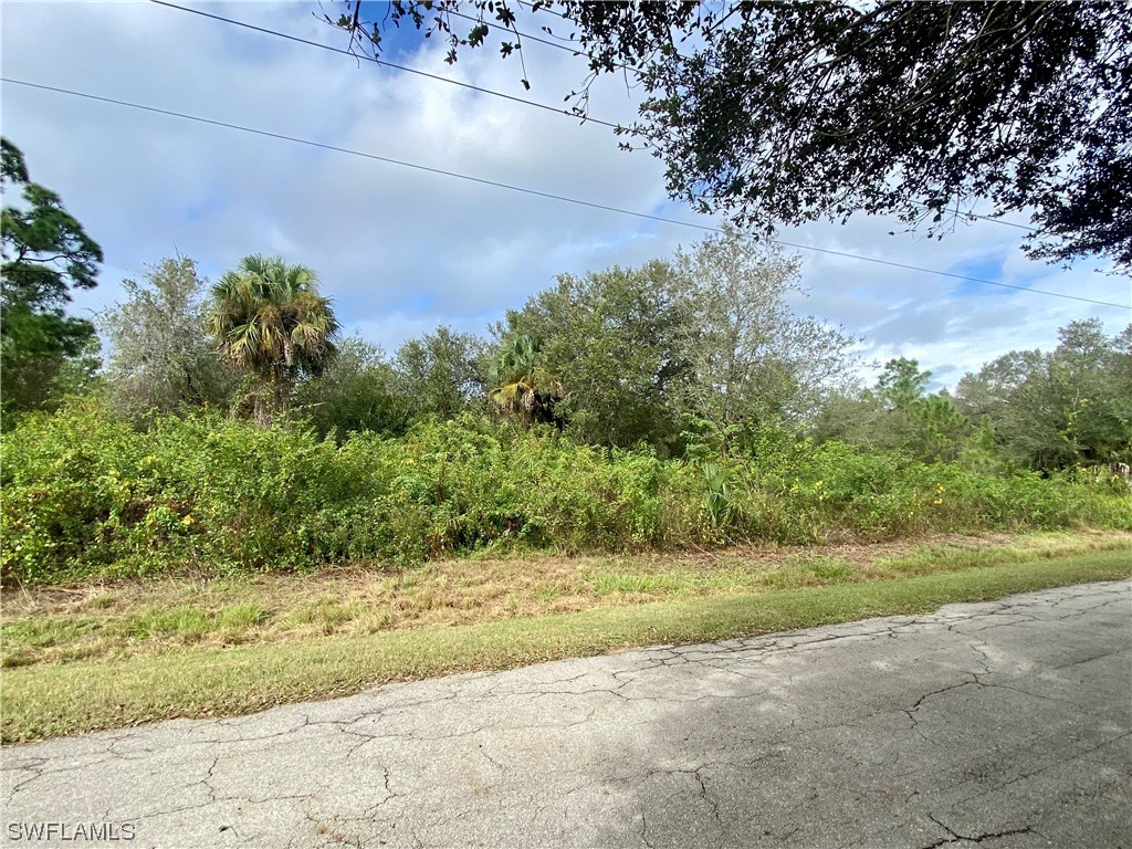 2009 Wellington Avenue Alva FL 33920 223085321 image1