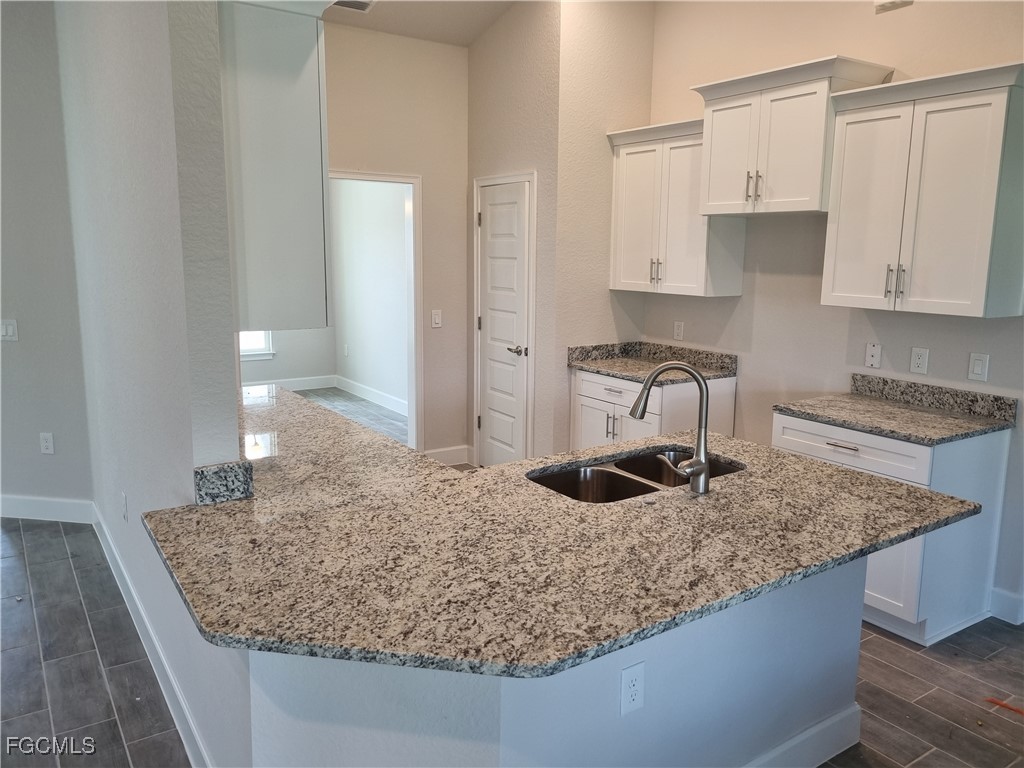 201 NW 9th Terrace Cape Coral FL 33993 225032695 image8