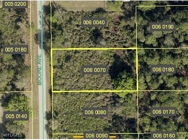 2010 Moore Avenue Alva FL 33920 224064326 image1