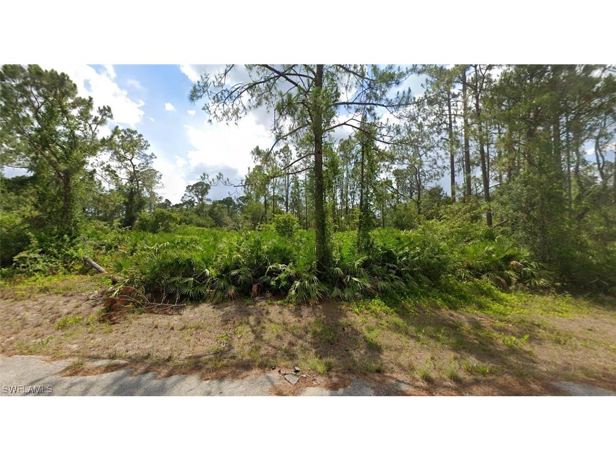 2011 Irving Avenue Alva FL 33920 224023330 image1