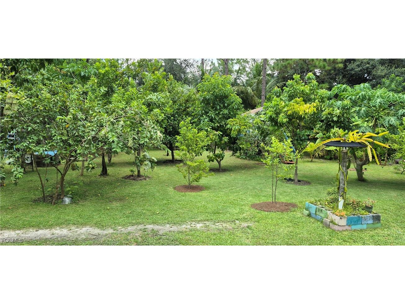 2011 Leroy Avenue Alva FL 33920 2025005126 image23