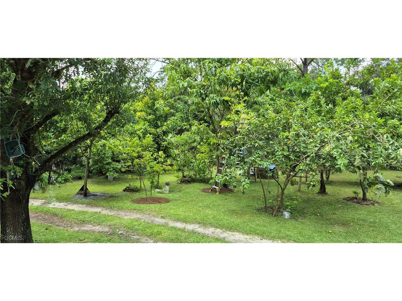 2011 Leroy Avenue Alva FL 33920 2025005126 image24