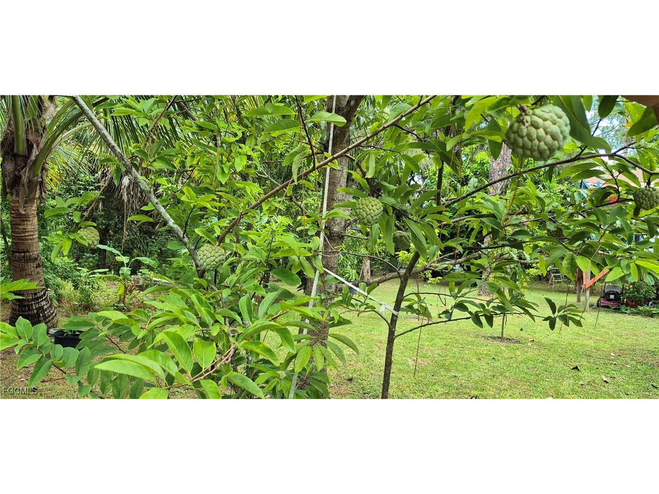 2011 Leroy Avenue Alva FL 33920 2025005126 image25