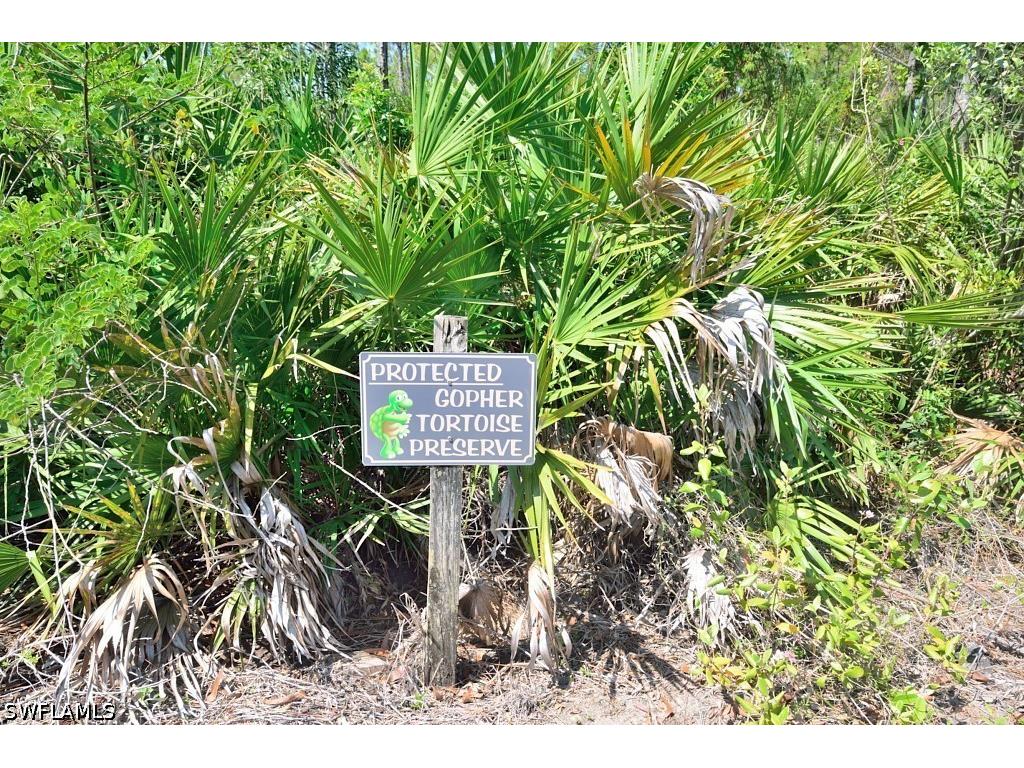 20111 Bravada Street #3 Estero FL 33928 226025248 image10
