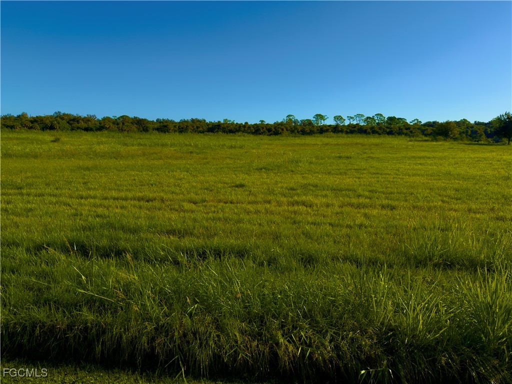 2012 Silk Bay Boulevard Alva FL 33920 2025015656 image5