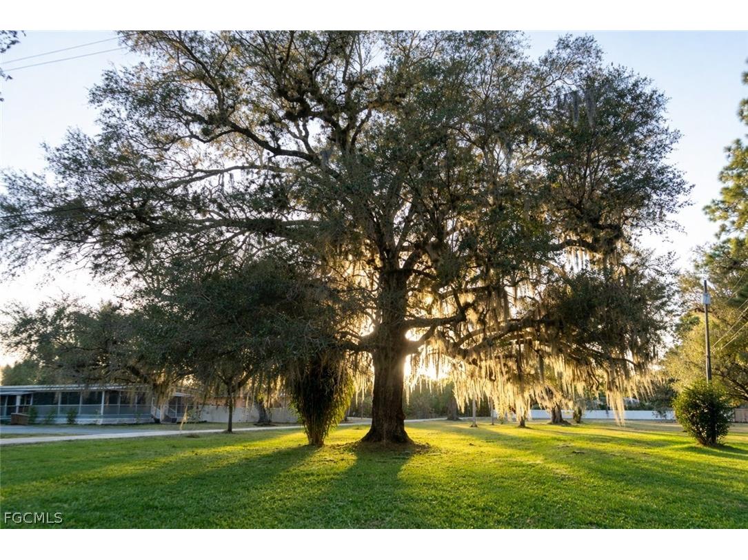 2014 Fort Denaud Road Labelle FL 33935 2026009132 image6