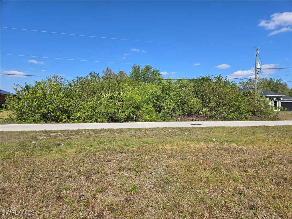 2014 Wanda Avenue N Lehigh Acres FL 33971 225011284 image1