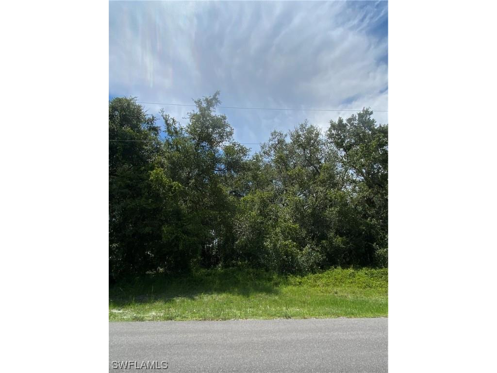 2015 Jeronimo Road Labelle FL 33935 223044222 image1