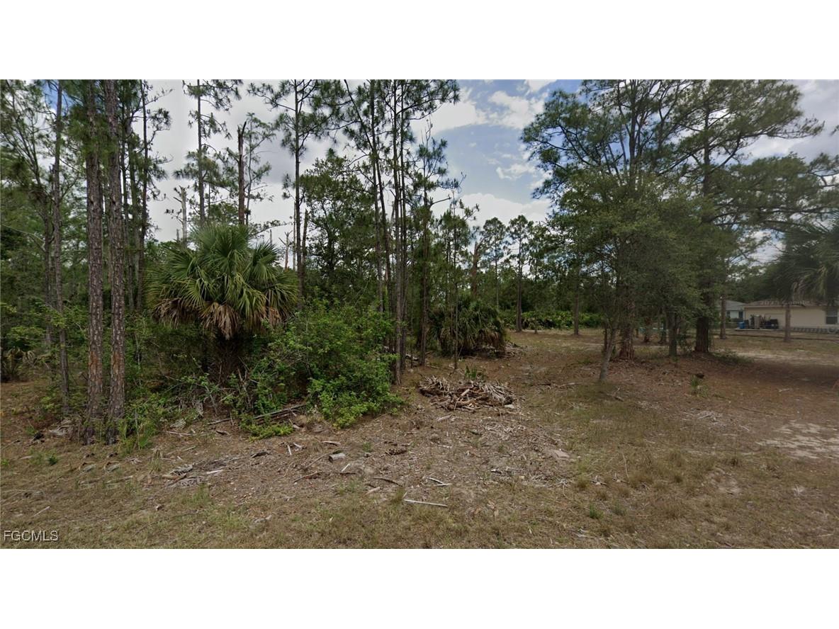 2016 Grayson Avenue Alva FL 33920 2025016020 image6