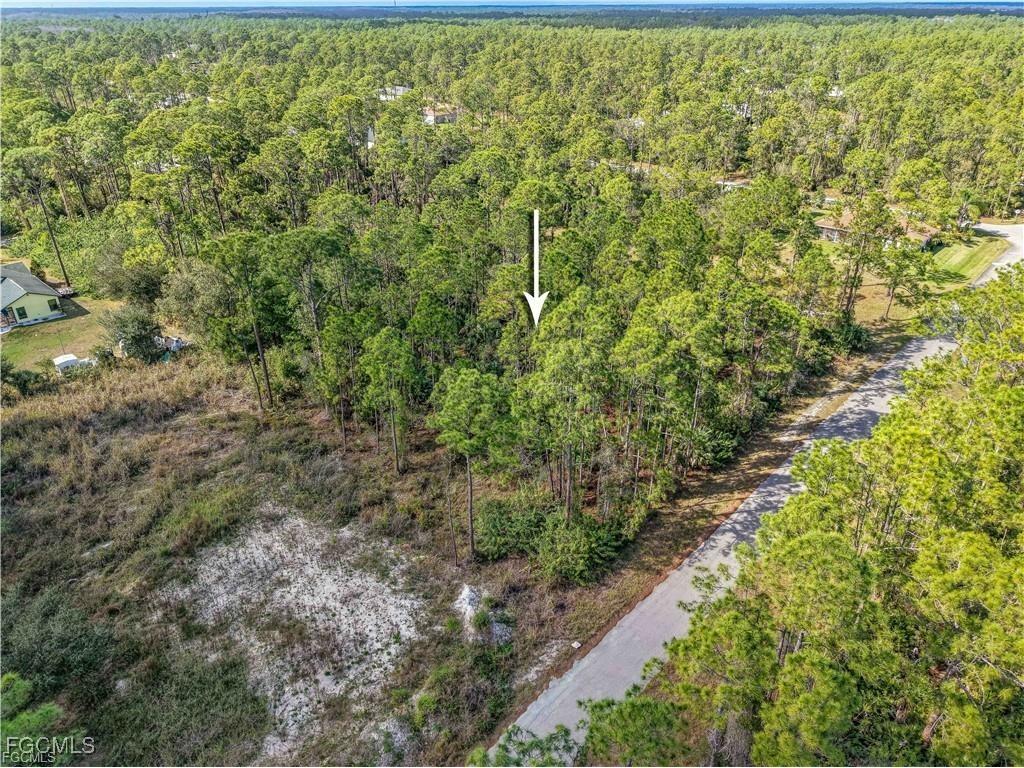 2017 Grant Avenue Alva FL 33920 2025009287 image5