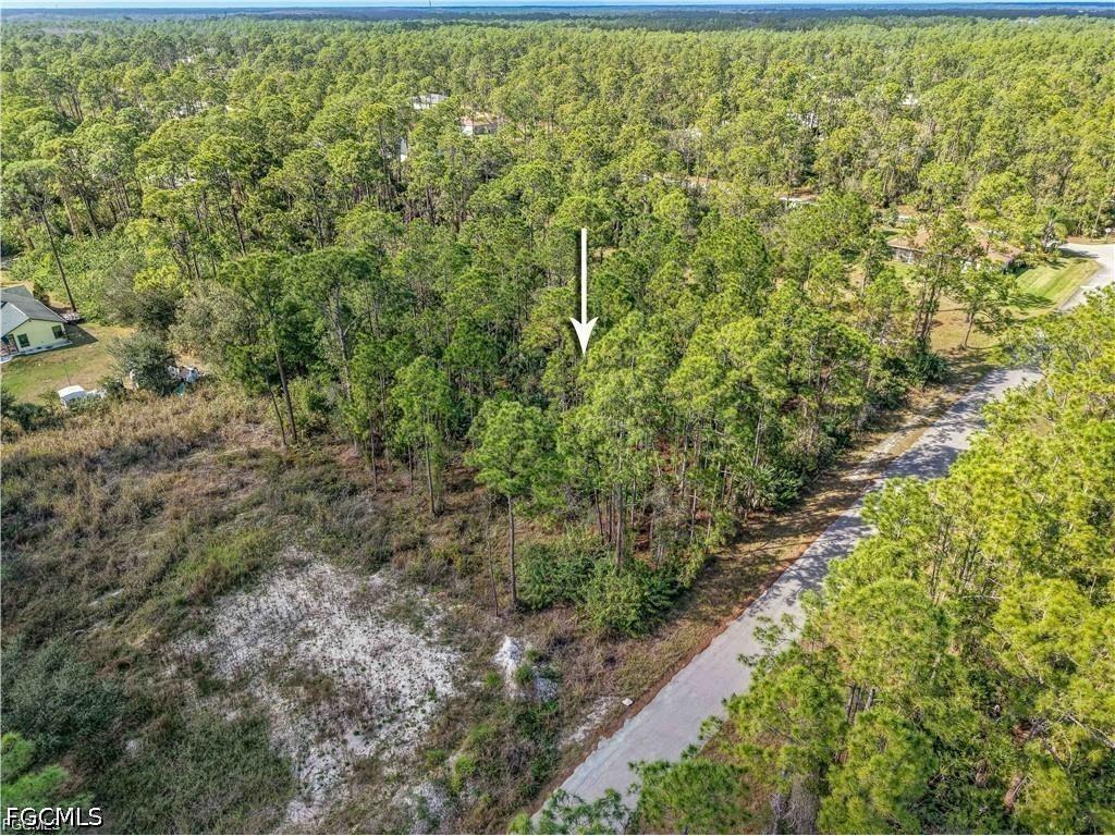 2017 Grant Avenue Alva FL 33920 2026019190 image6