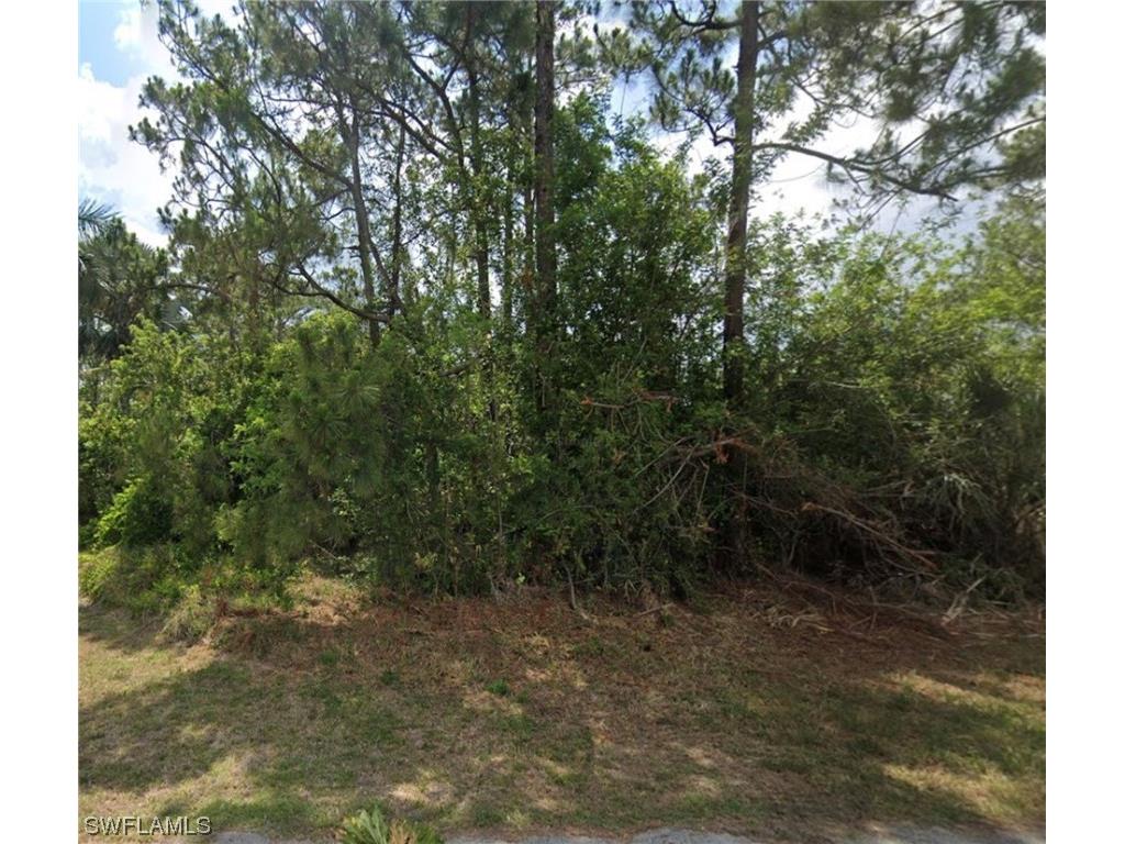 2017 Monroe Avenue Alva FL 33920 224014998 image1