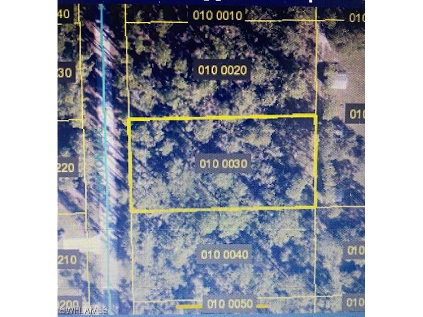 2018 Canton Avenue Alva FL 33920 224010392 image1