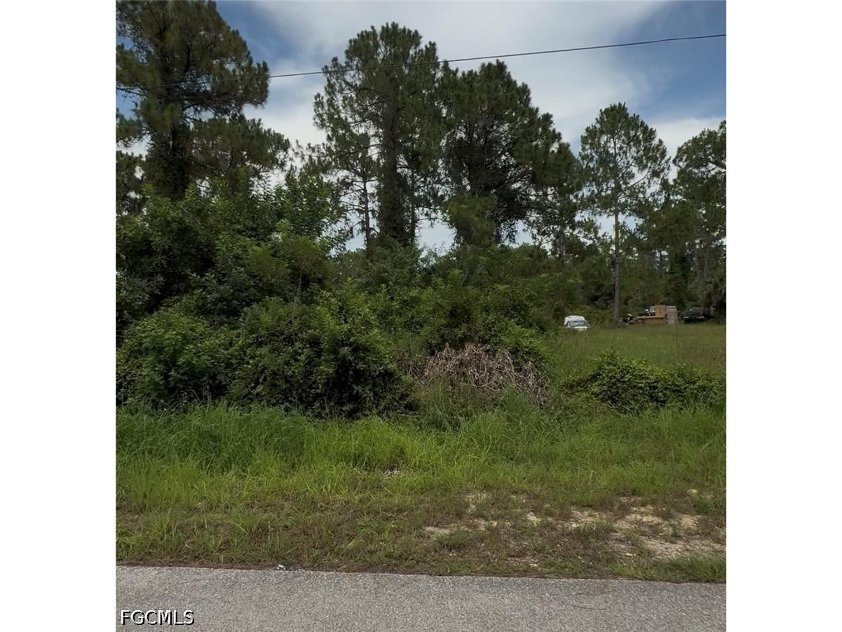 2018 Leroy Avenue Alva FL 33920 2026029100 image2