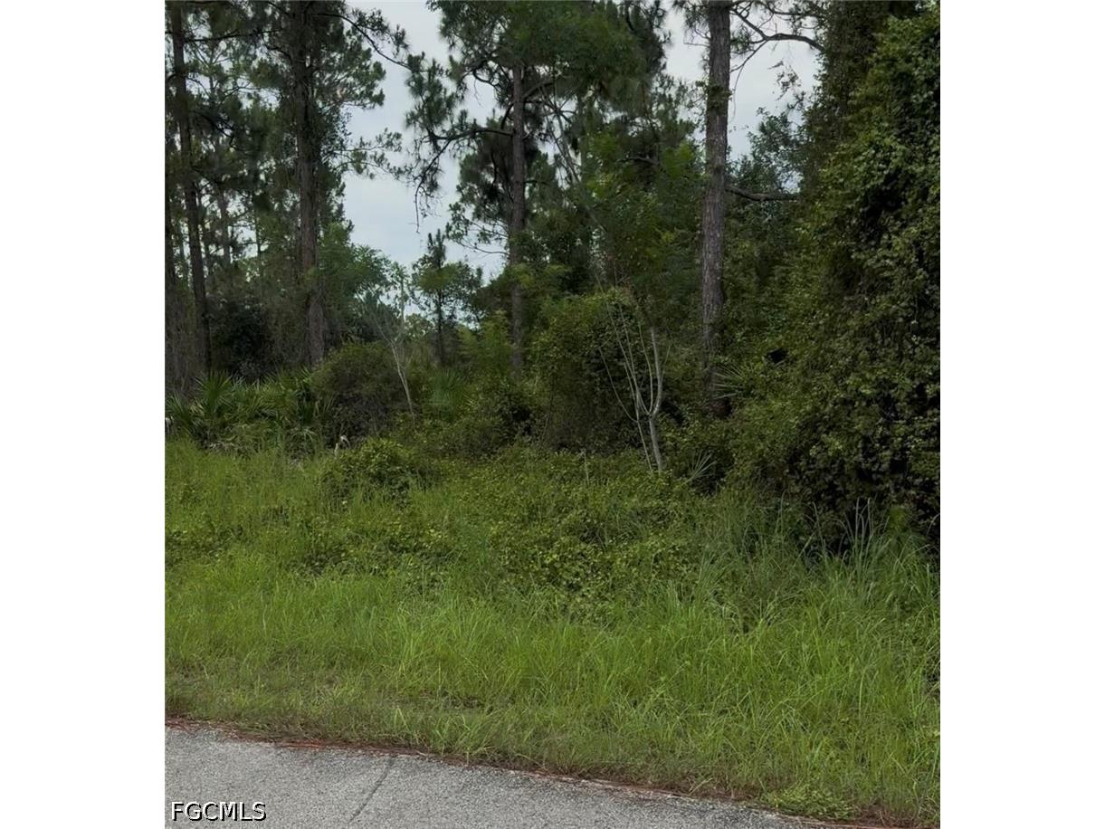 2018 Leroy Avenue Alva FL 33920 2026029100 image4