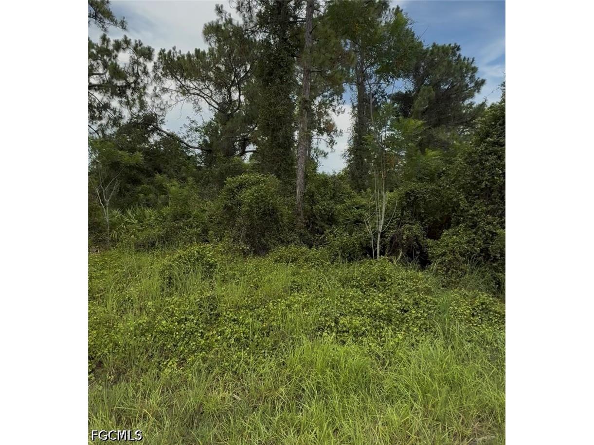 2018 Leroy Avenue Alva FL 33920 2026029100 image5