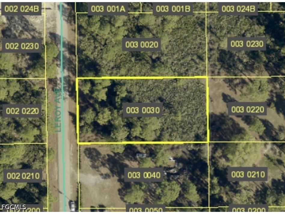 2018 Leroy Avenue Alva FL 33920 2026029100 image6