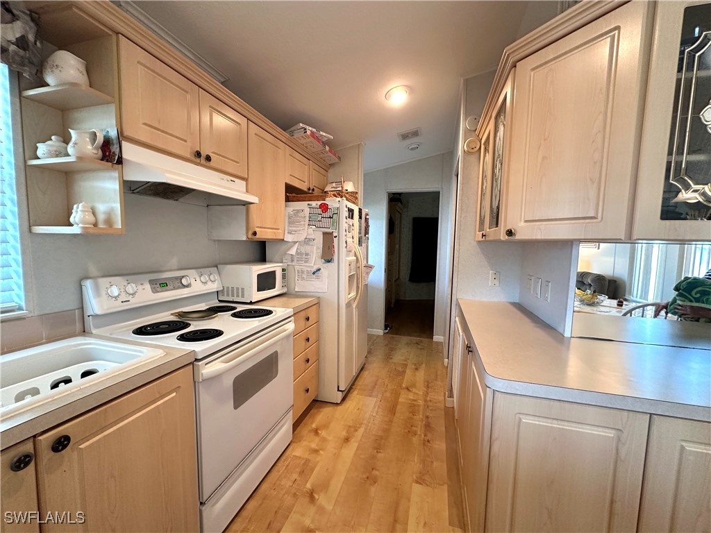 20180 Ponce De Leon Drive Estero FL 33928 226001533 image14