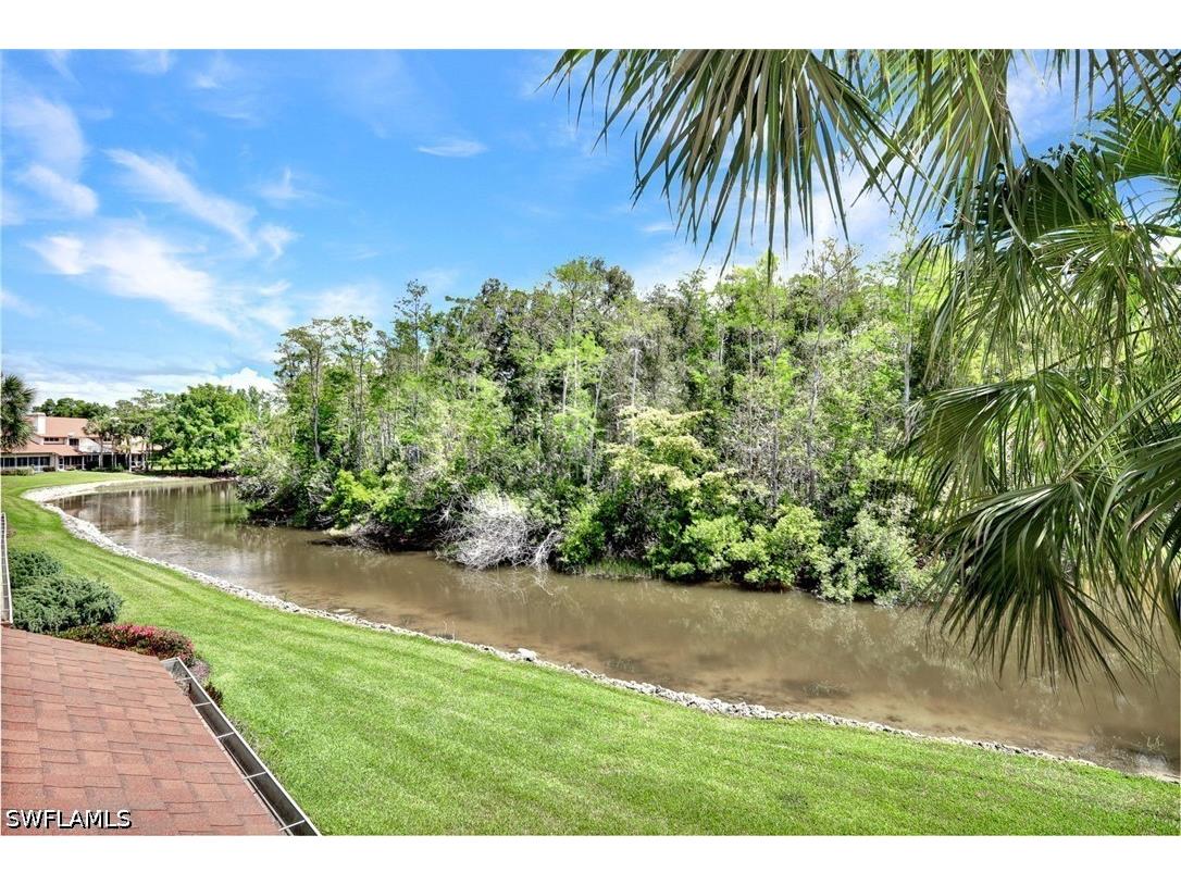 20190 Golden Panther Drive #3 Estero FL 33928 226015675 image19