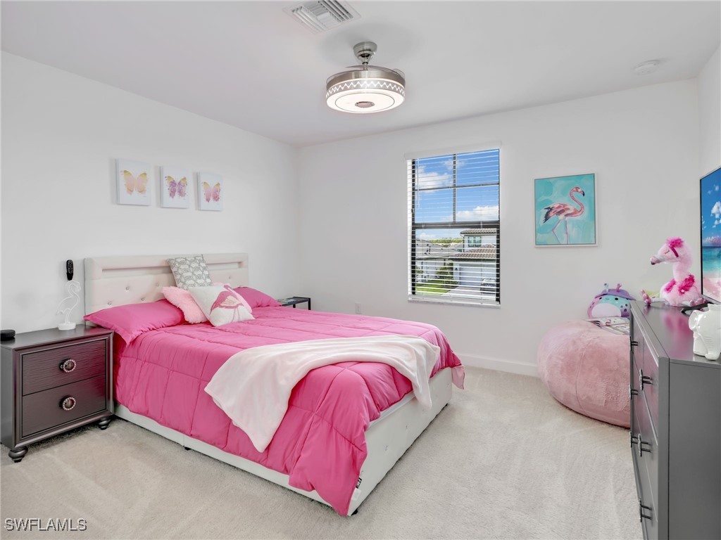 20195 Hartford Boulevard Estero FL 33928 225074760 image22