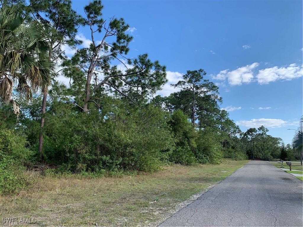 202 Gerald Avenue N Lehigh Acres FL 33971 225064017 image1