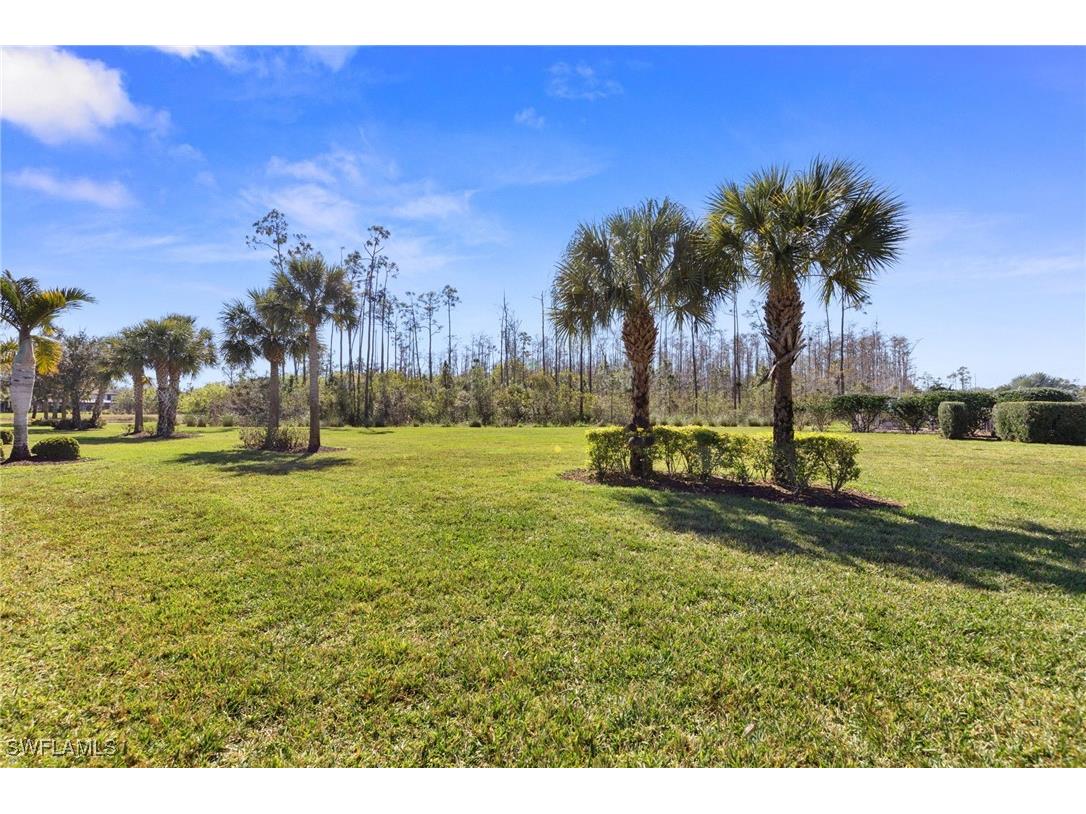 20206 Black Tree Lane Estero FL 33928 226005855 image34