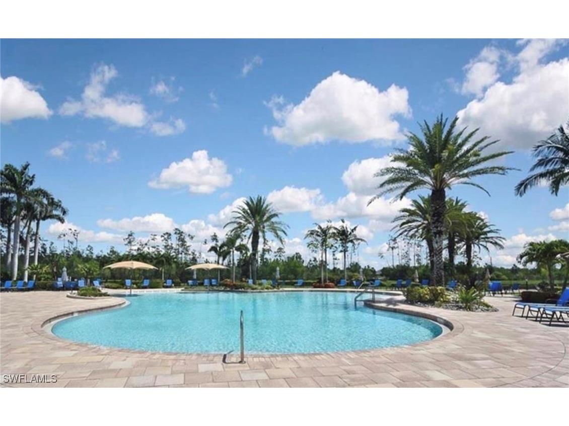 20206 Black Tree Lane Estero FL 33928 226005855 image41