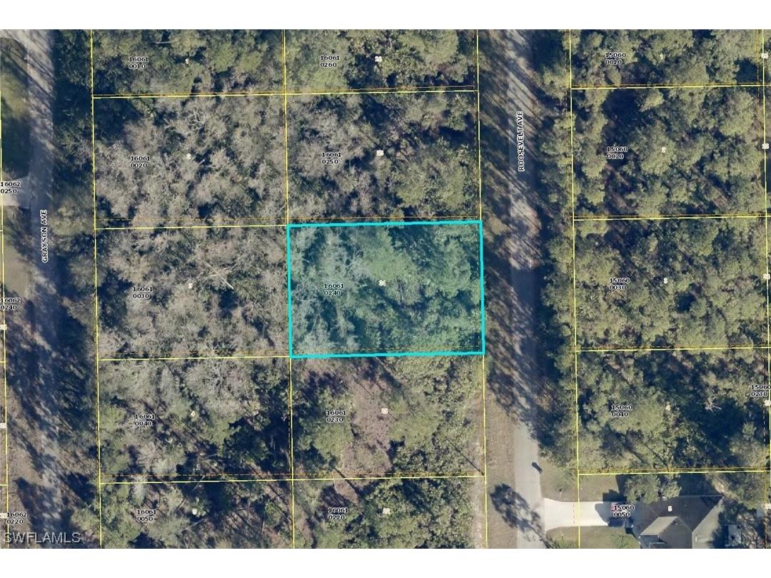 2021 Roosevelt Avenue Alva FL 33920 223086367 image1