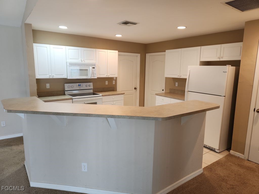 2023 NW 3rd Terrace Cape Coral FL 33993 2026002396 image2
