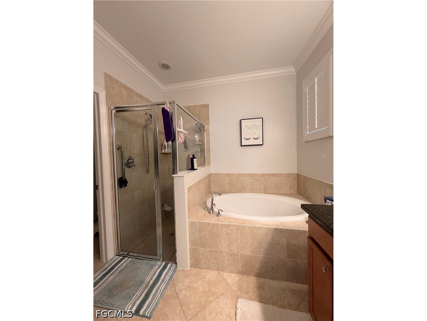 20239 Cypress Shadows Boulevard Estero FL 33928 2026025689 image11