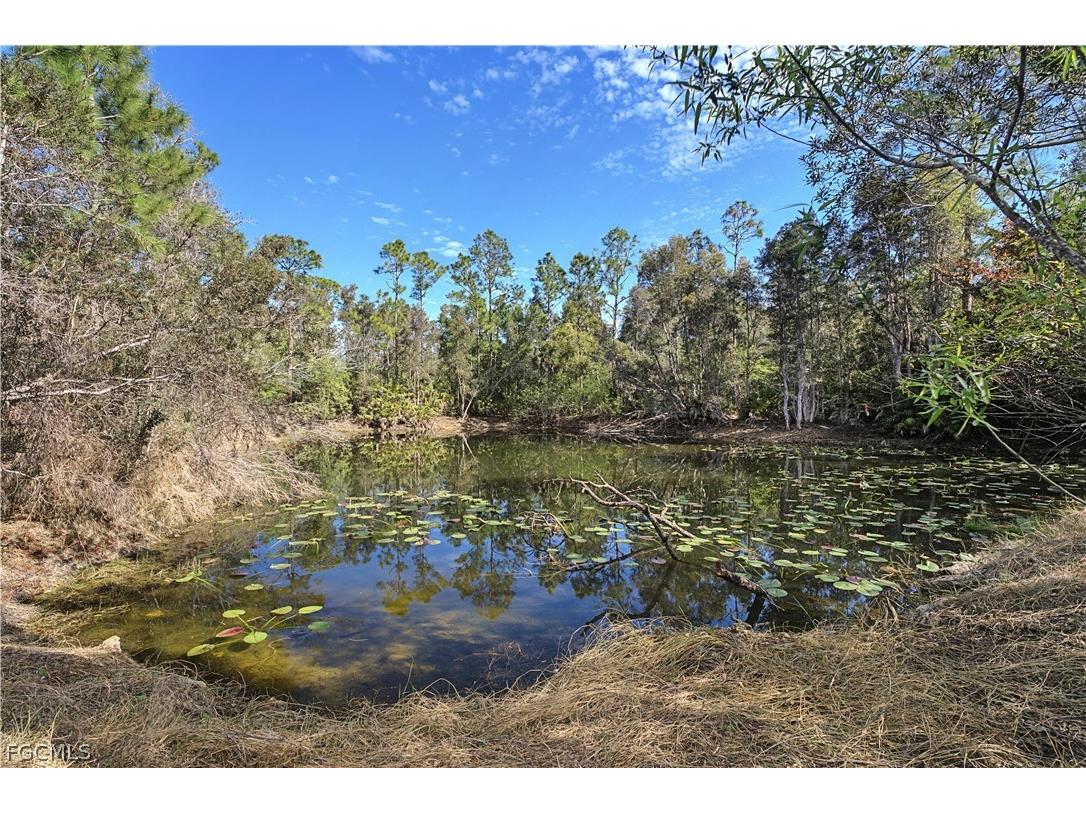 20250 Welborn Road North Fort Myers FL 33917 2026006619 image2