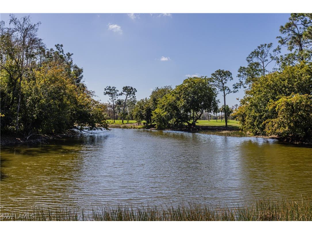 20268 Puma Trail Estero FL 33928 226008862 image8