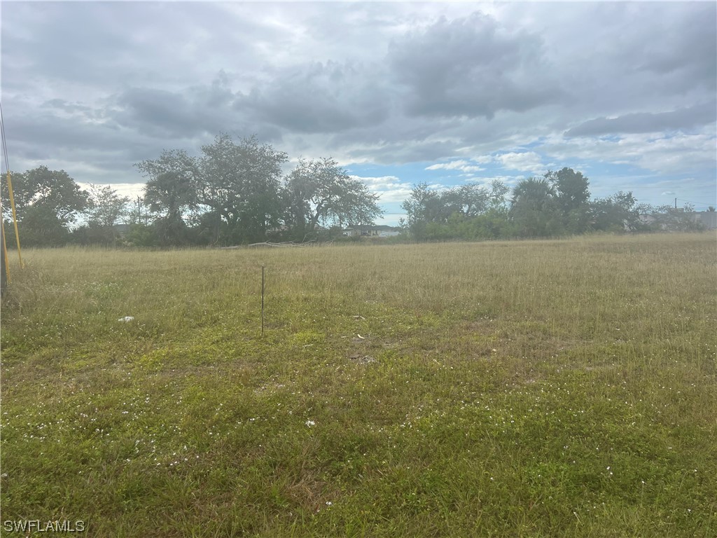 2028 NW 6th Place Cape Coral FL 33993 223083456 image1