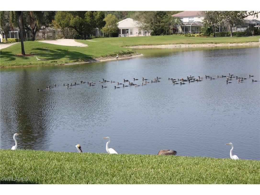 2029 Crestview Way #105 Naples FL 34119 226003351 image41