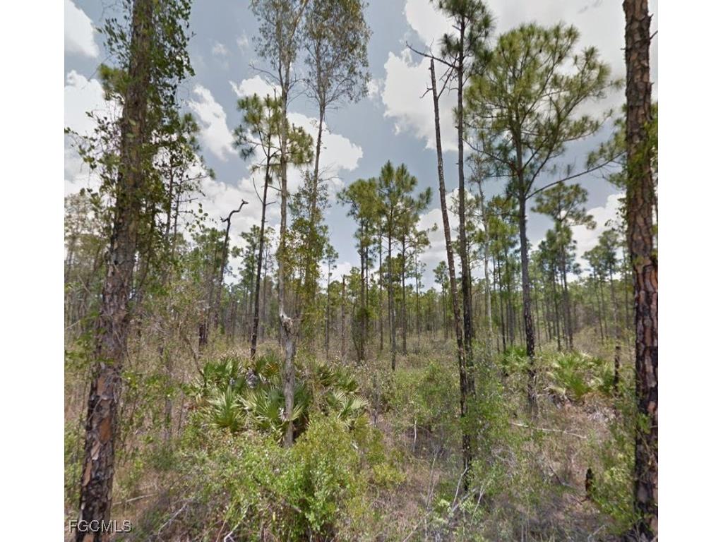 20294 Glenwood Road North Fort Myers FL 33917 2025023757 image3