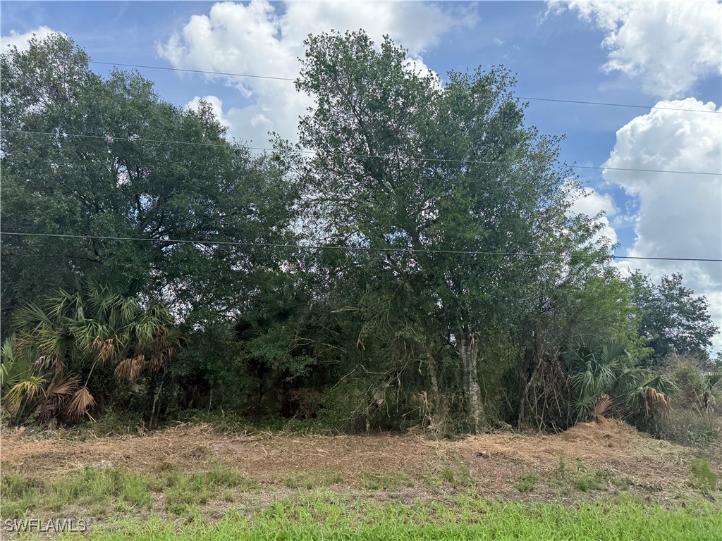 203 Bald Cypress Avenue Clewiston FL 33440 225058266 image1