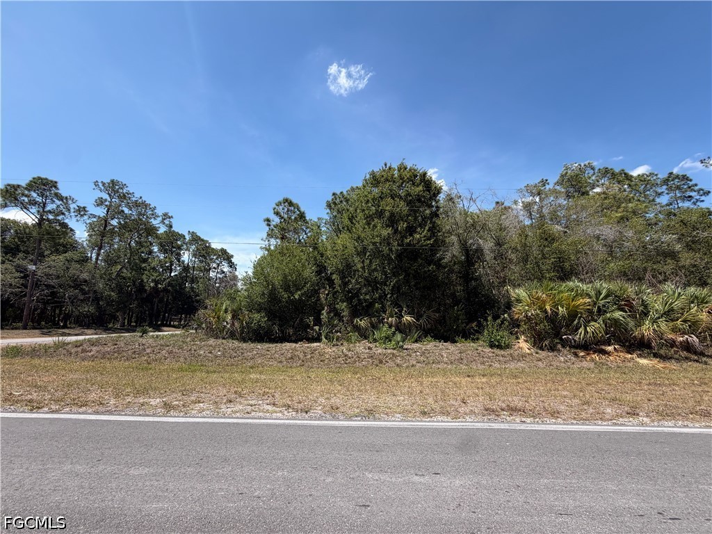 203 Hunting Club Avenue Clewiston FL 33440 2026024862 image2