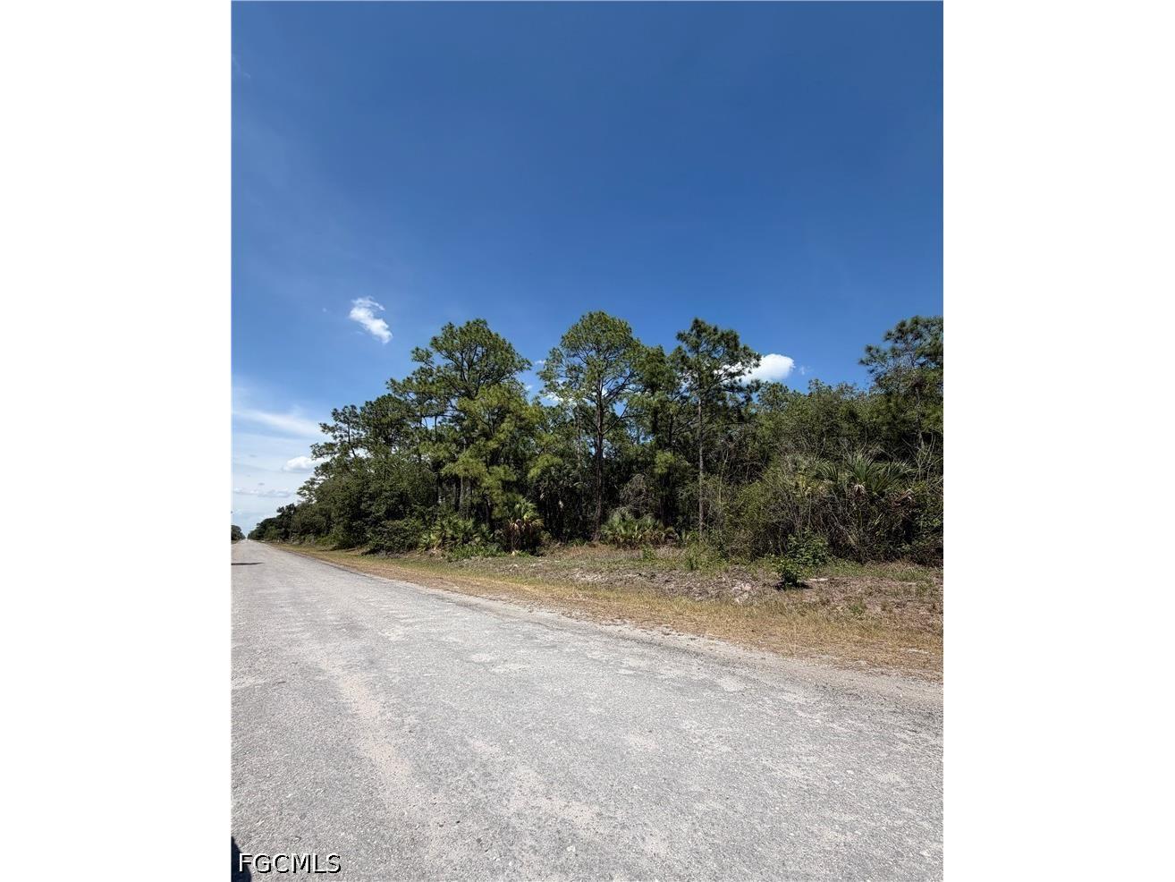 203 Hunting Club Avenue Clewiston FL 33440 2026024862 image7