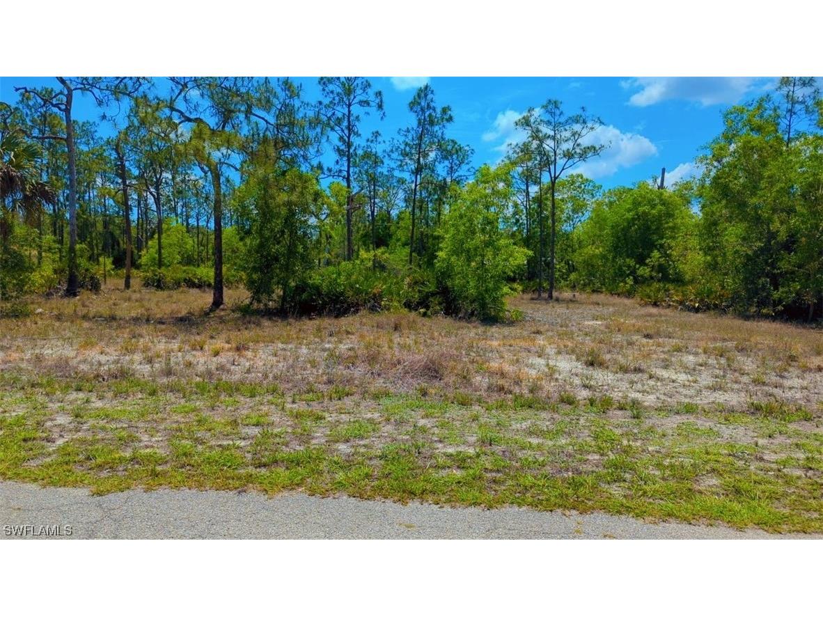 203 Johns Avenue Lehigh Acres FL 33936 222035539 image1