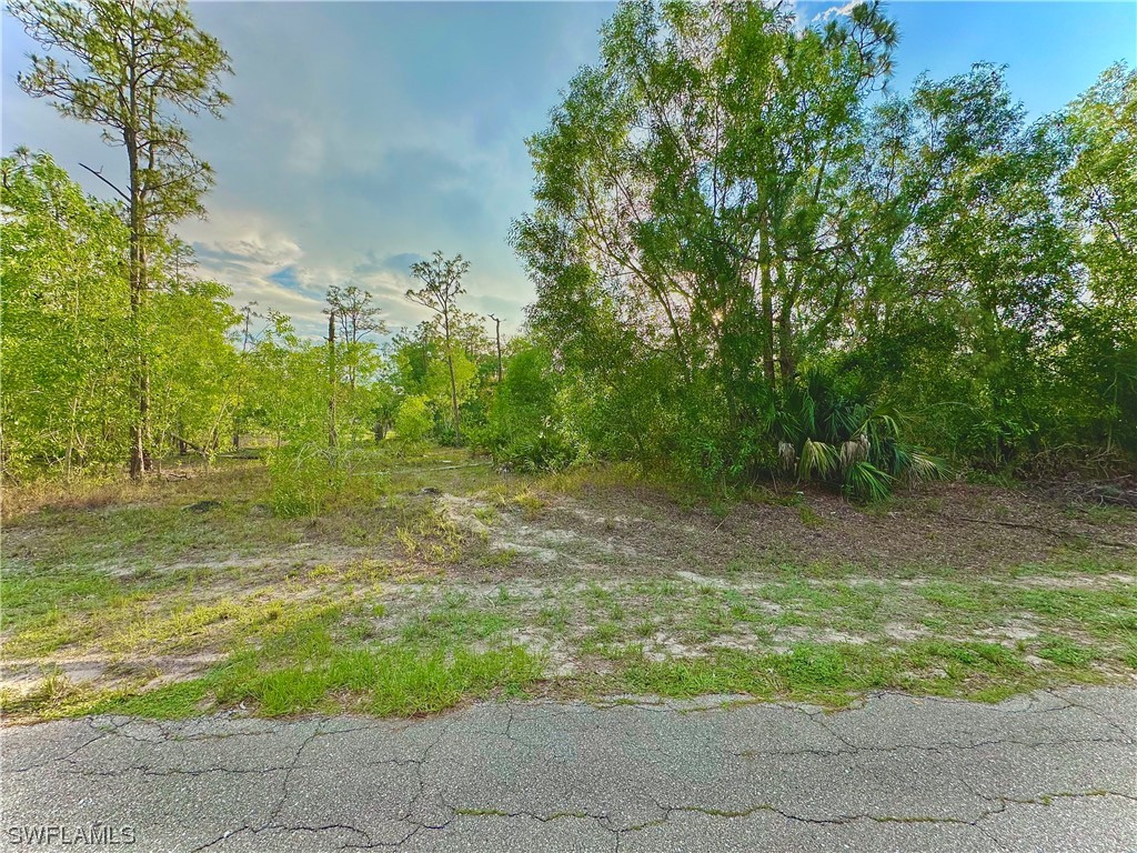 203 Monroe Avenue Lehigh Acres FL 33936 223048435 image1