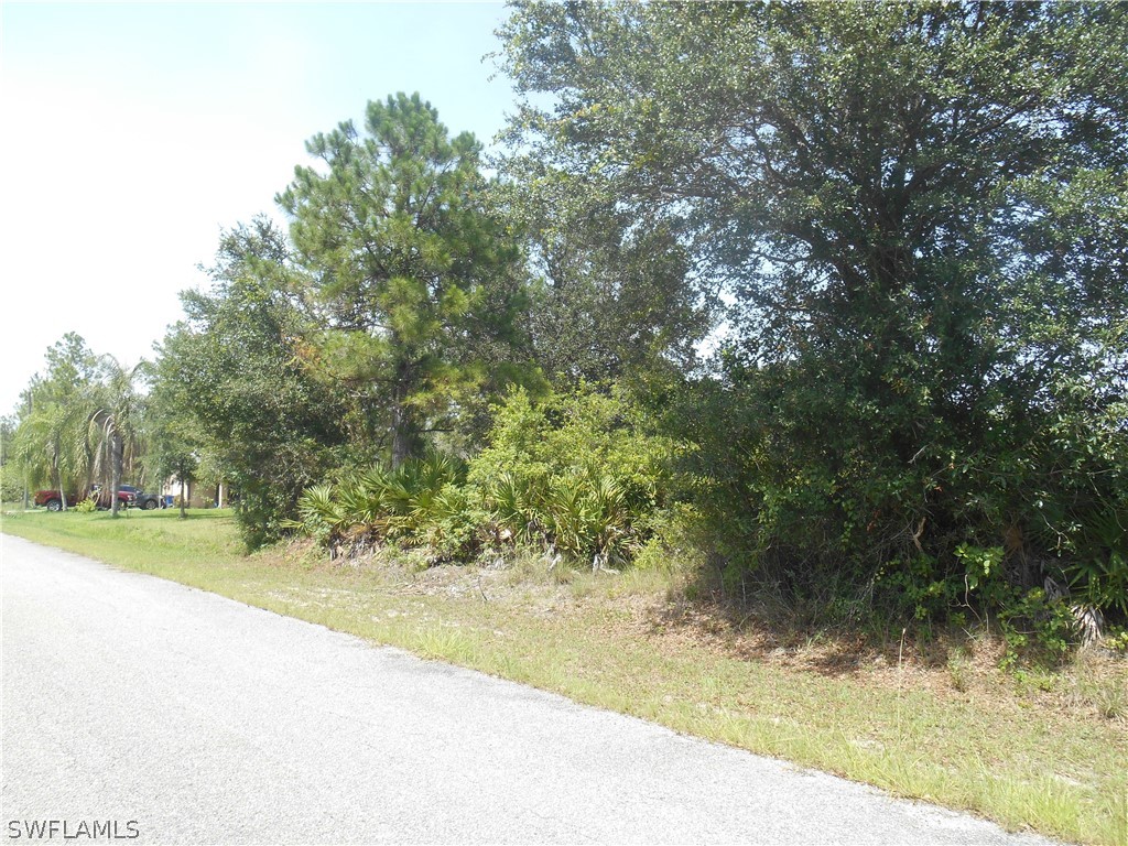 203 Wellington Avenue Lehigh Acres FL 33936 222046123 image1
