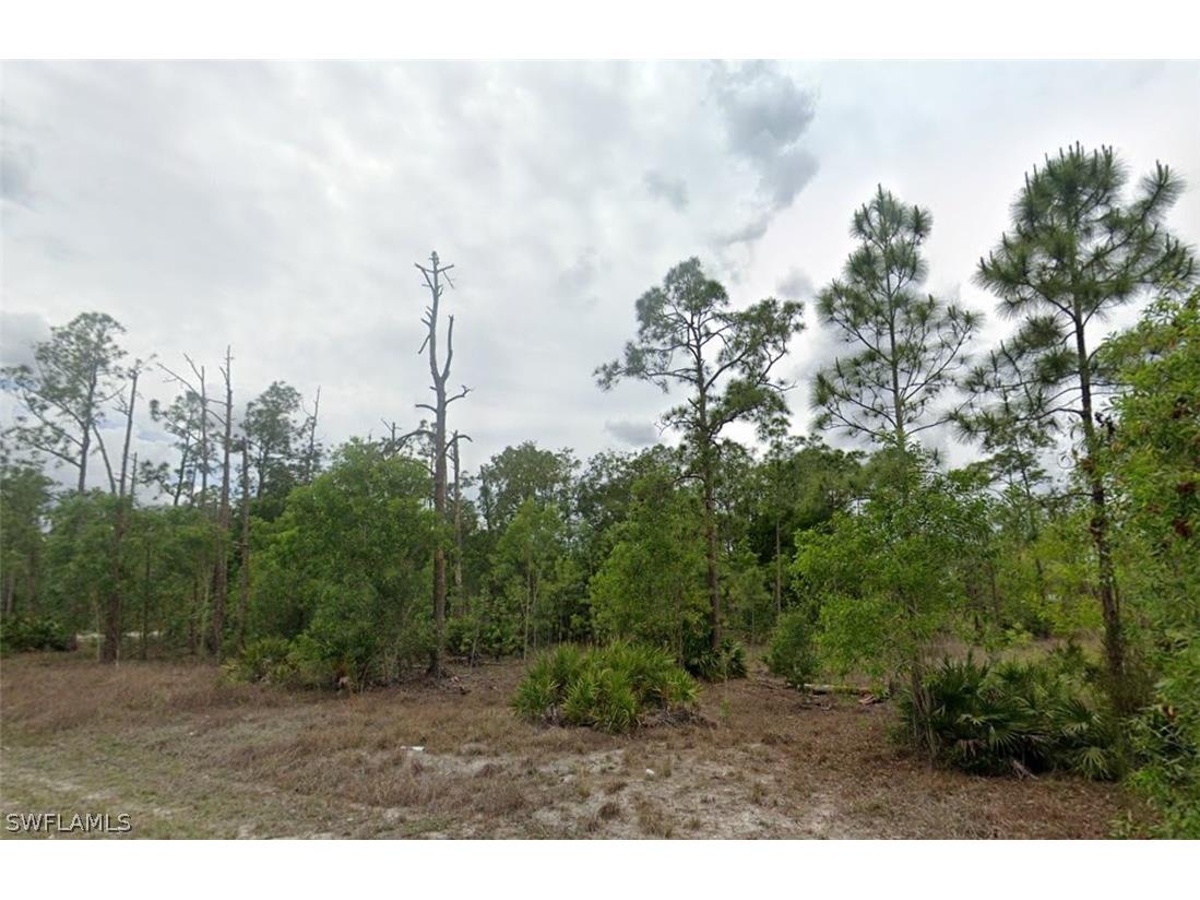 203 Wellington Avenue Lehigh Acres FL 33936 226007921 image1