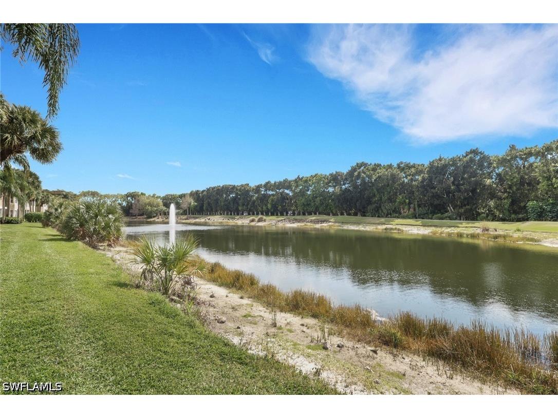 20300 Calice Court #1104 Estero FL 33928 226014031 image26