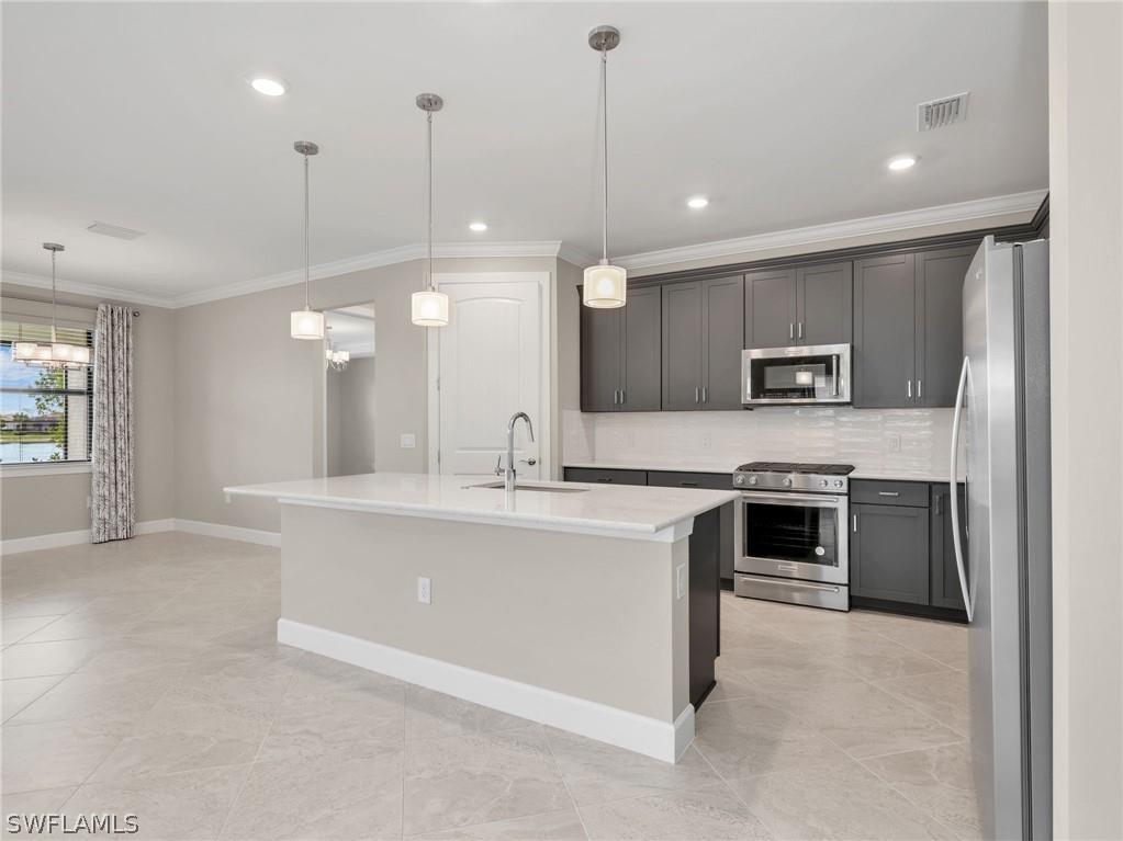 20300 Napa Loop Estero FL 33928 226010686 image6