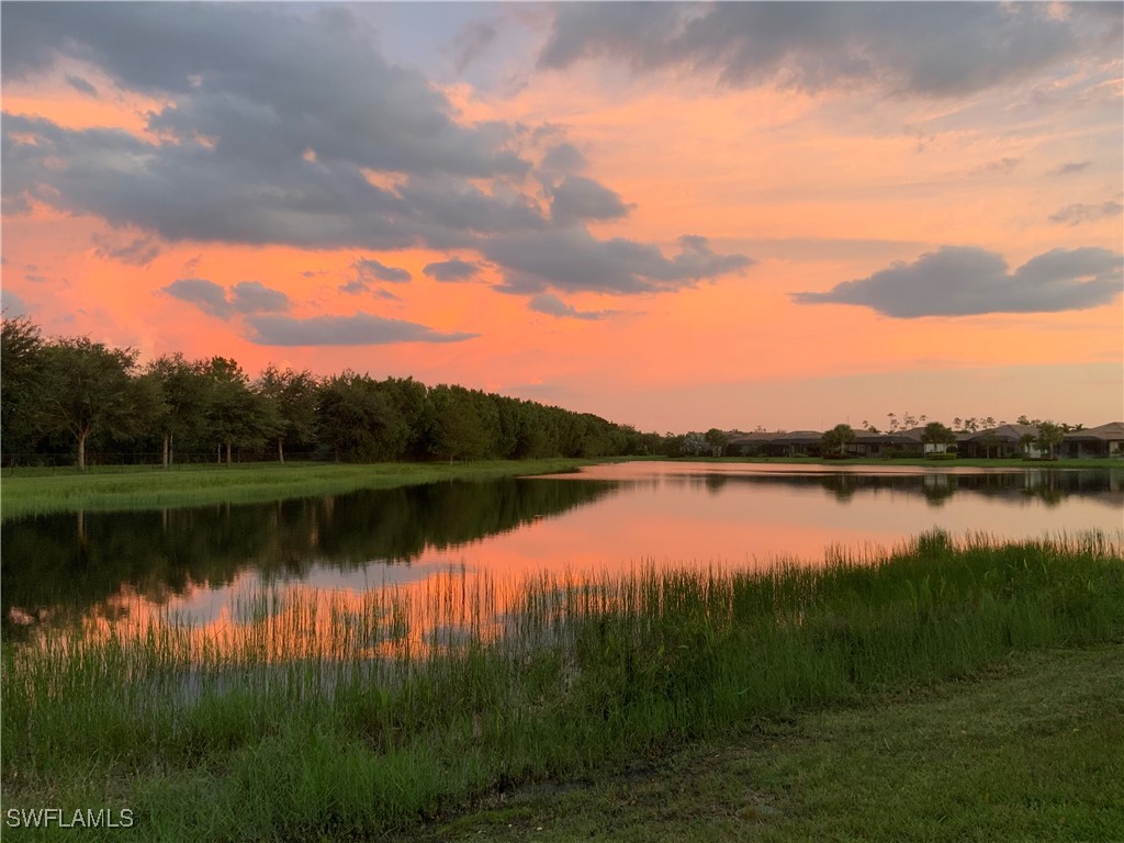 20309 Black Tree Lane Estero FL 33928 225031162 image1